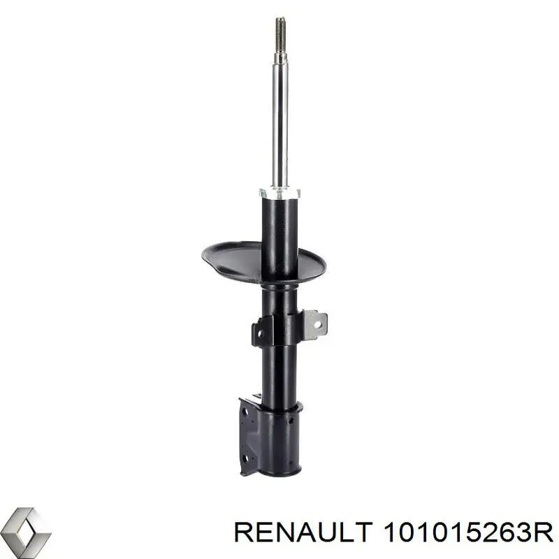  101015263R Renault (RVI)