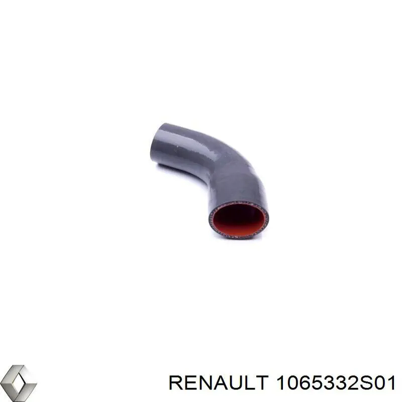  1065332S01 Renault (RVI)