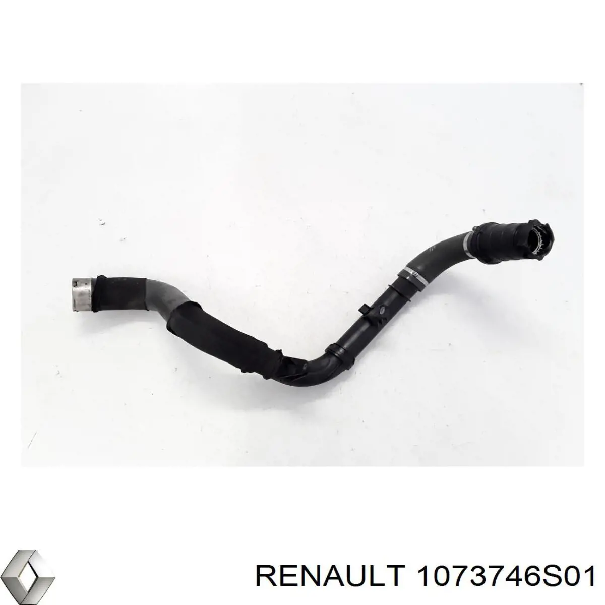 Купити 1073746S01 Renault (RVI) 