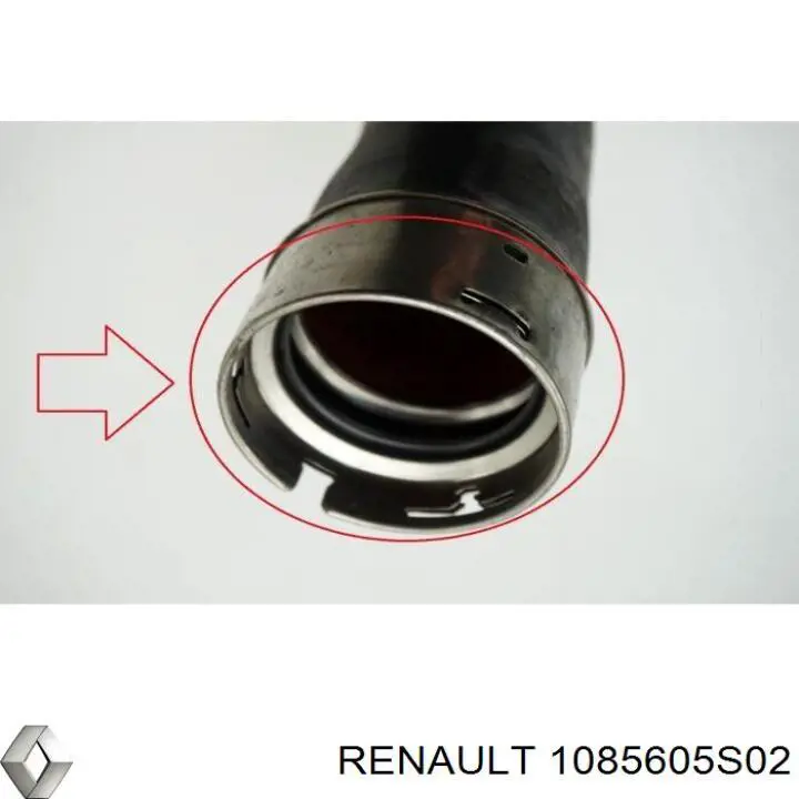  1085605S02 Renault (RVI)