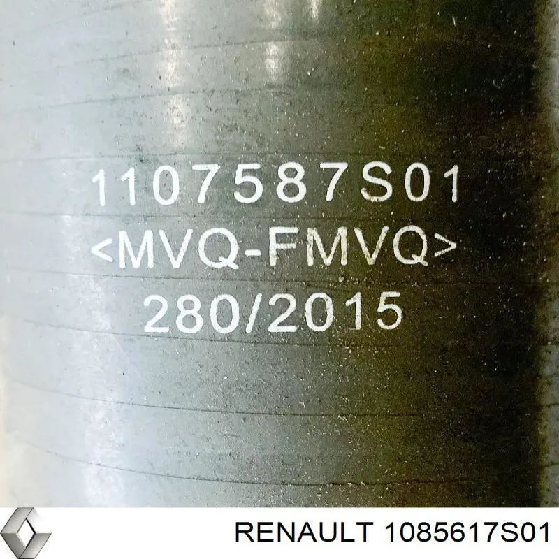 1085617S01 Renault (RVI) 