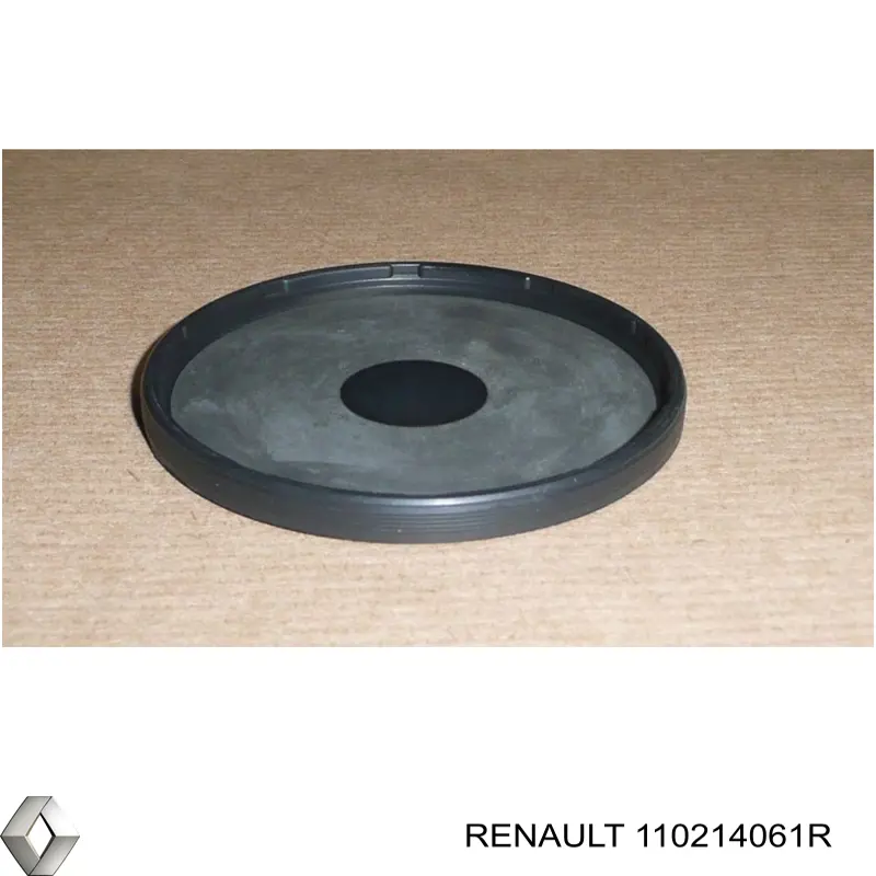 110214061R Renault (RVI) заглушка гбц/блоку циліндрів