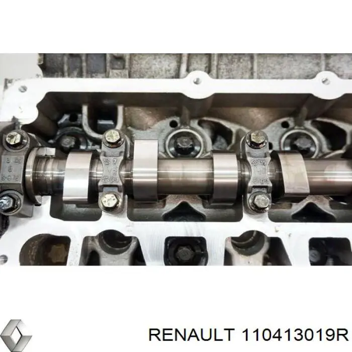 Купити 110413019R Renault (RVI) Головка блоку
