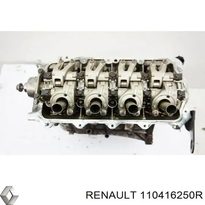  110416250R Renault (RVI)