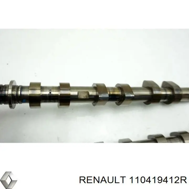 110419412R Renault (RVI) Головка циліндрів