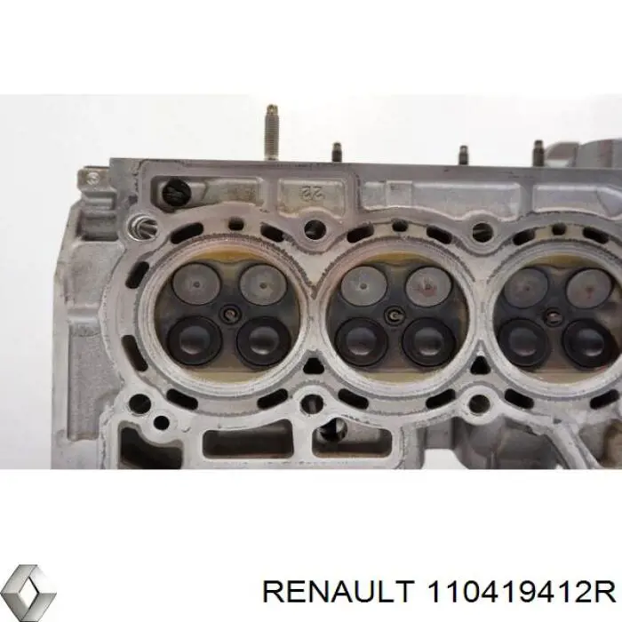 Головка двигуна Renault (RVI) 110419412R ціна, від 427.85 USD