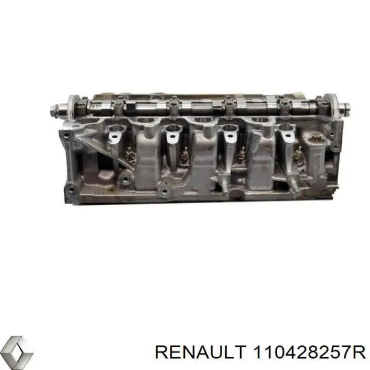 Головка блоку циліндрів Renault (RVI) 110428257R