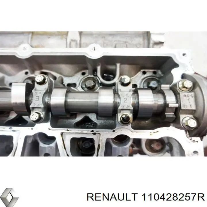 110428257R Renault (RVI) Головка циліндрів