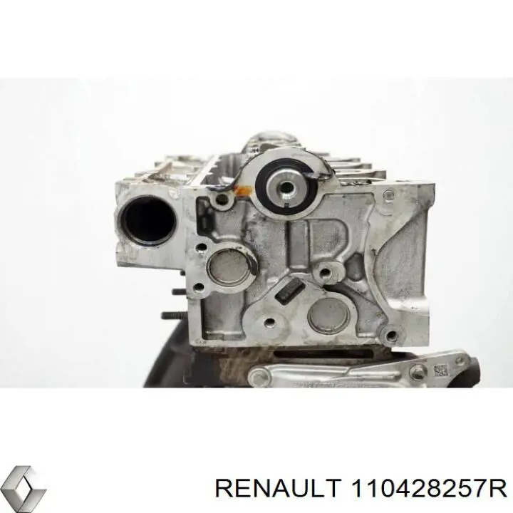 Головка двигуна Renault (RVI) 110428257R ціна, від 191.38 USD
