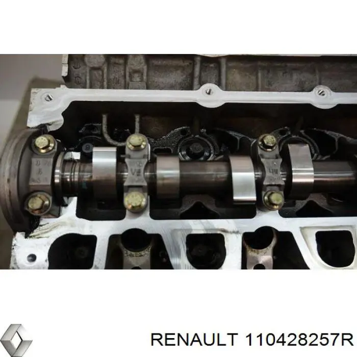 110428257R Renault (RVI) Головка циліндрів