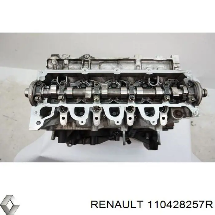 Головка двигуна Renault (RVI) 110428257R ціна, від 191.38 USD