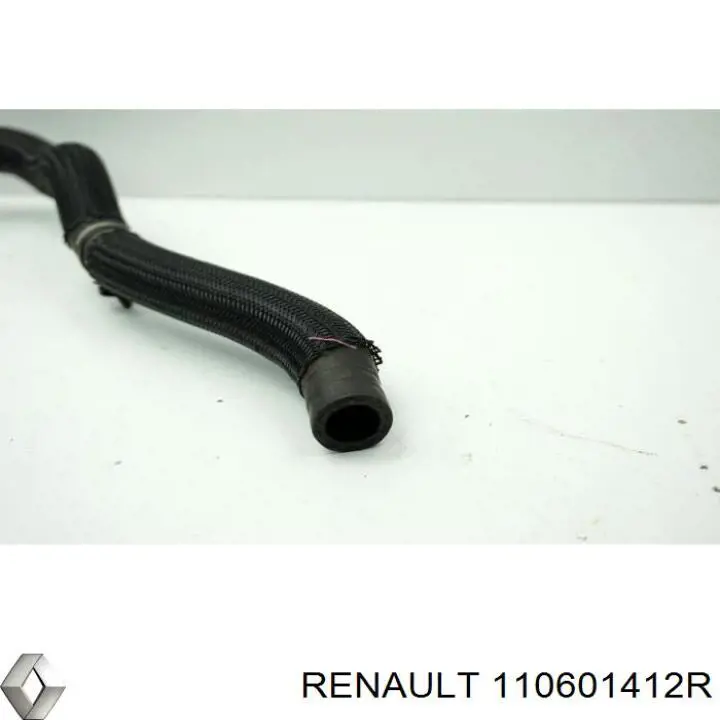 110606780R Renault (RVI) 