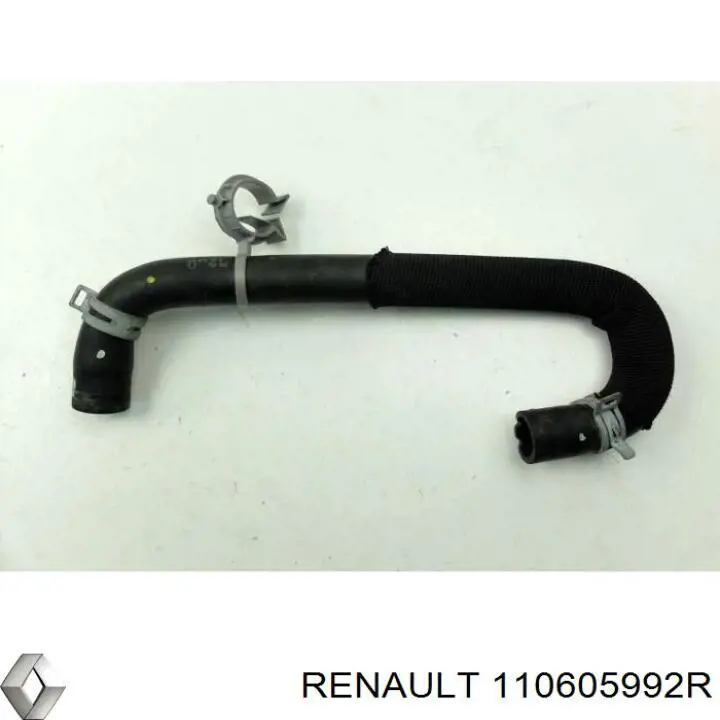  110605992R Renault (RVI)