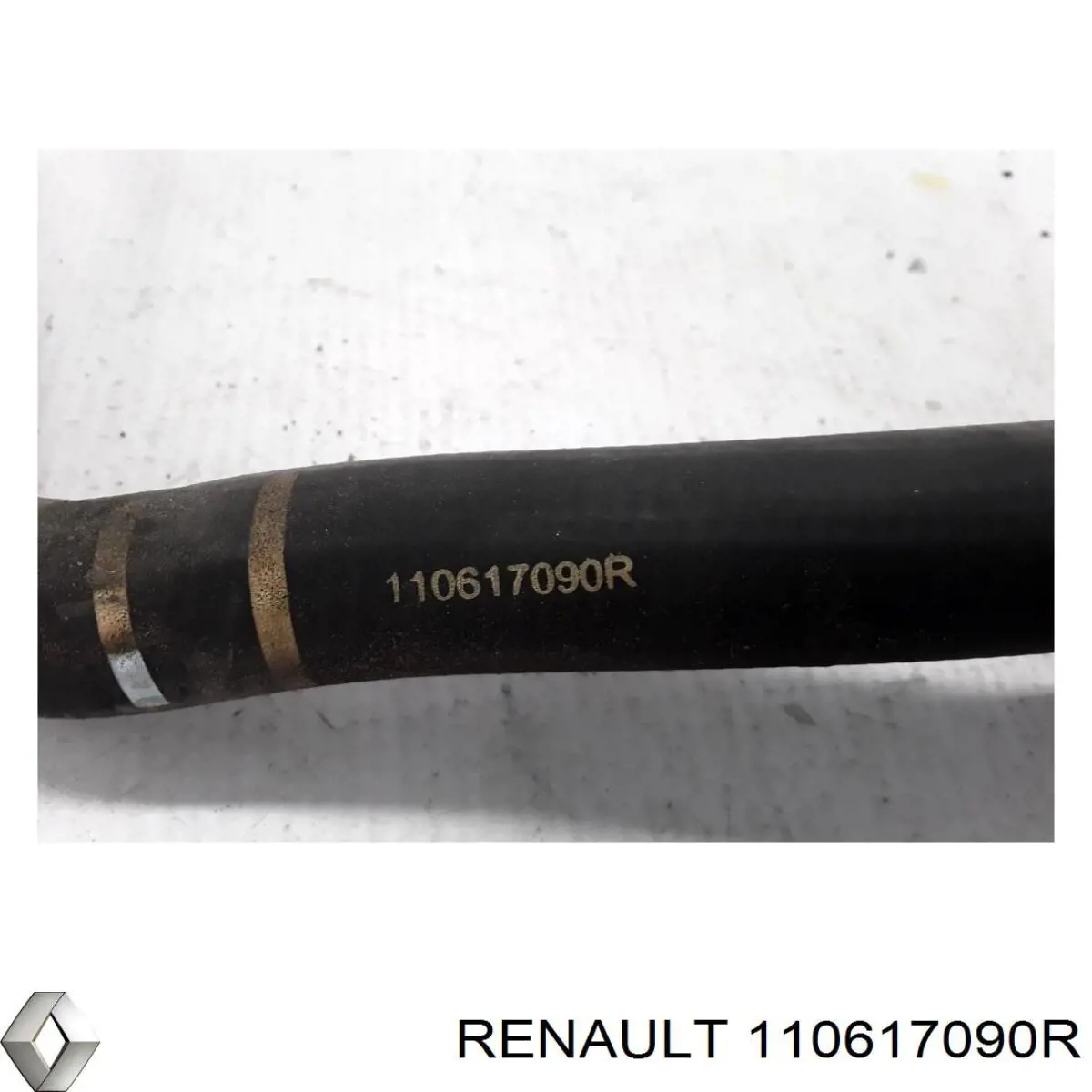 Купити 110617090R Renault (RVI) 