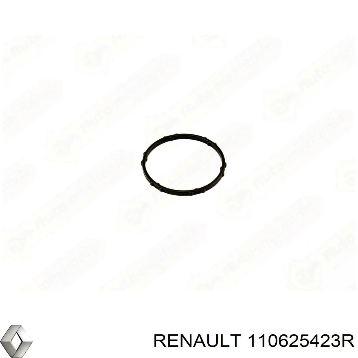 Прокладка корпусу термостата 110625423R Renault (RVI)