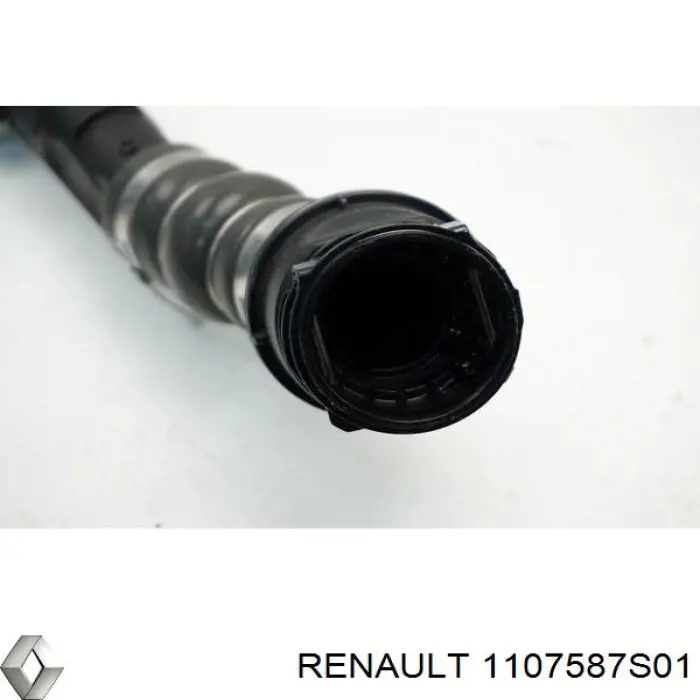  1107587S01 Renault (RVI)