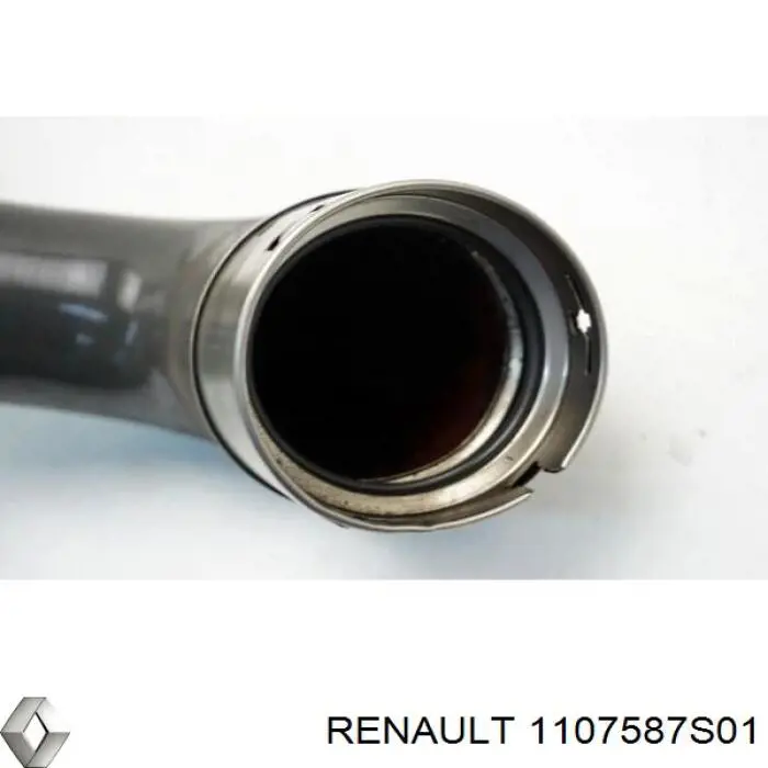 1107587S01 Renault (RVI) 