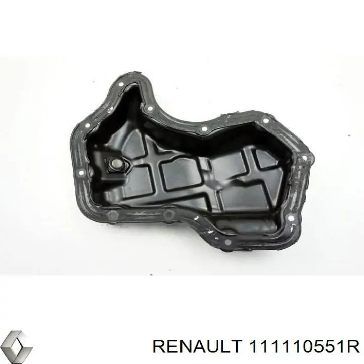111110551R Renault (RVI) 