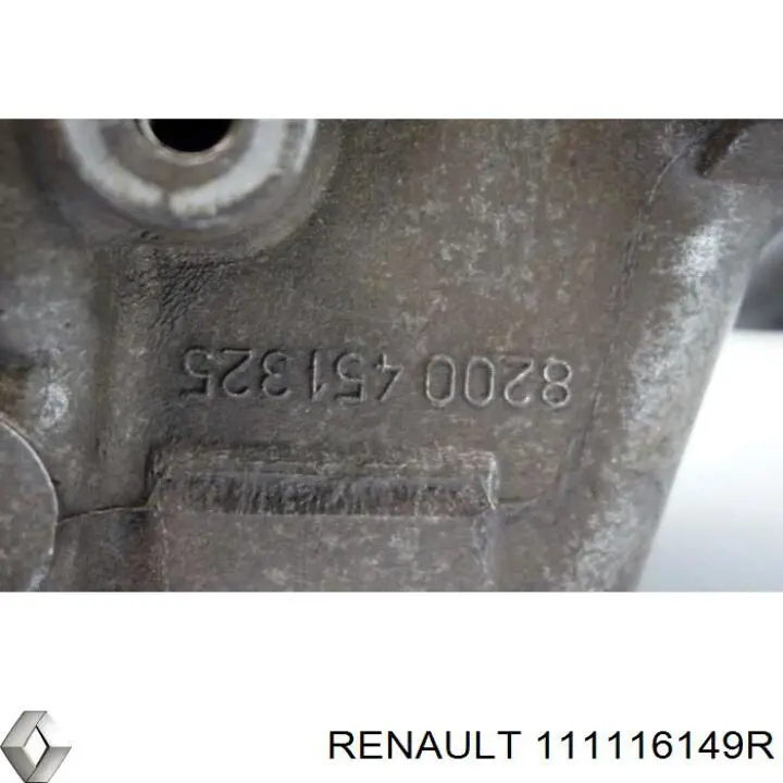 Купити 111116149R Renault (RVI) Захист двигуна