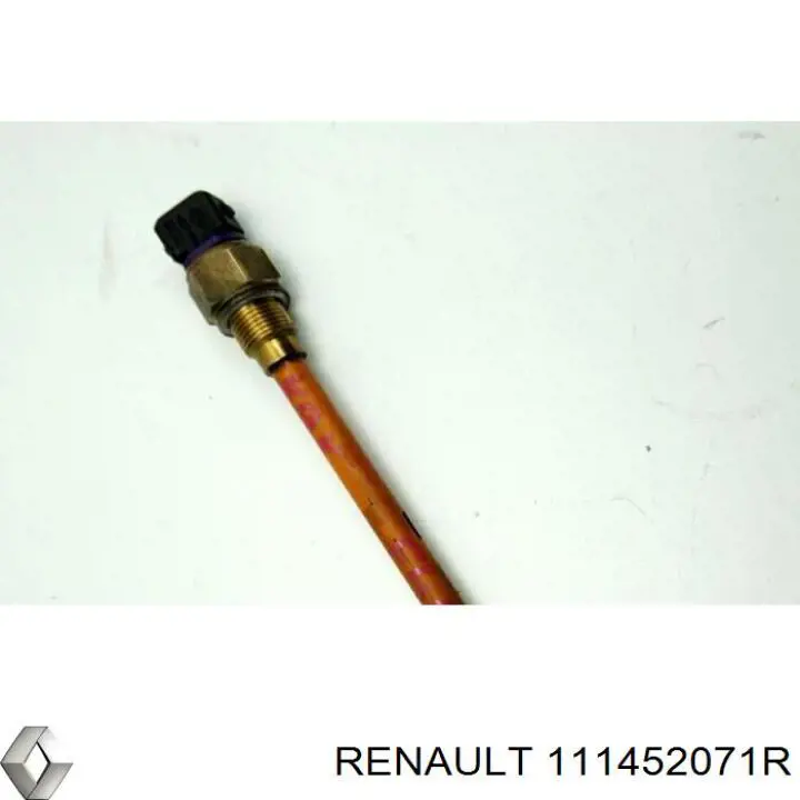 111452071R Renault (RVI) 