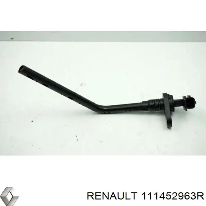  111452963R Renault (RVI)