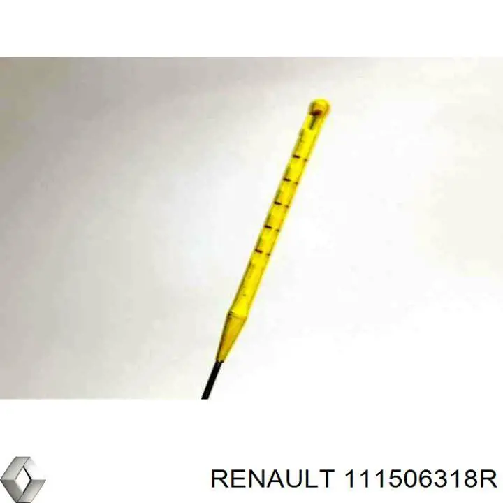 111506318R Renault (RVI) 