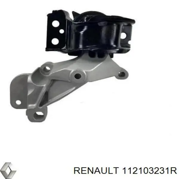  112103231R Renault (RVI)