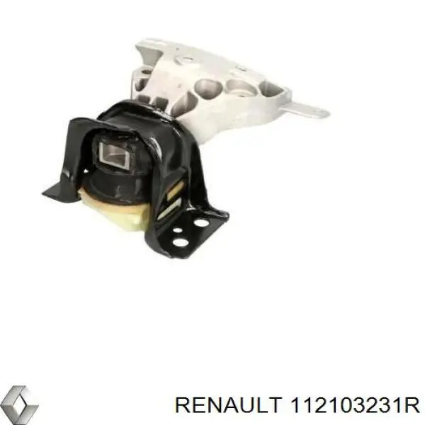  112103231R Renault (RVI)