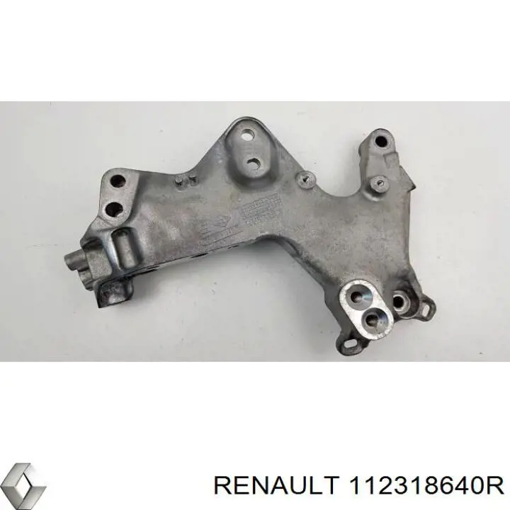 Купити 112318640R Renault (RVI) 