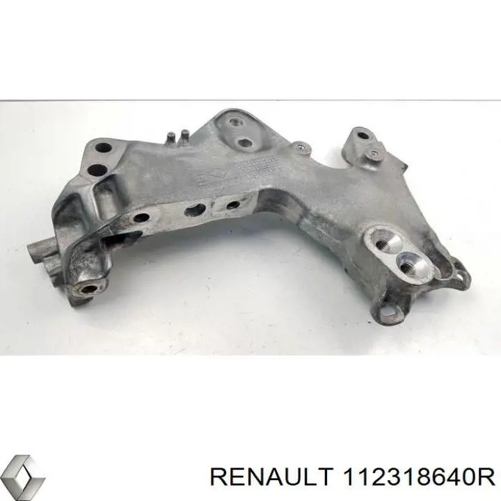 112318640R Renault (RVI) 
