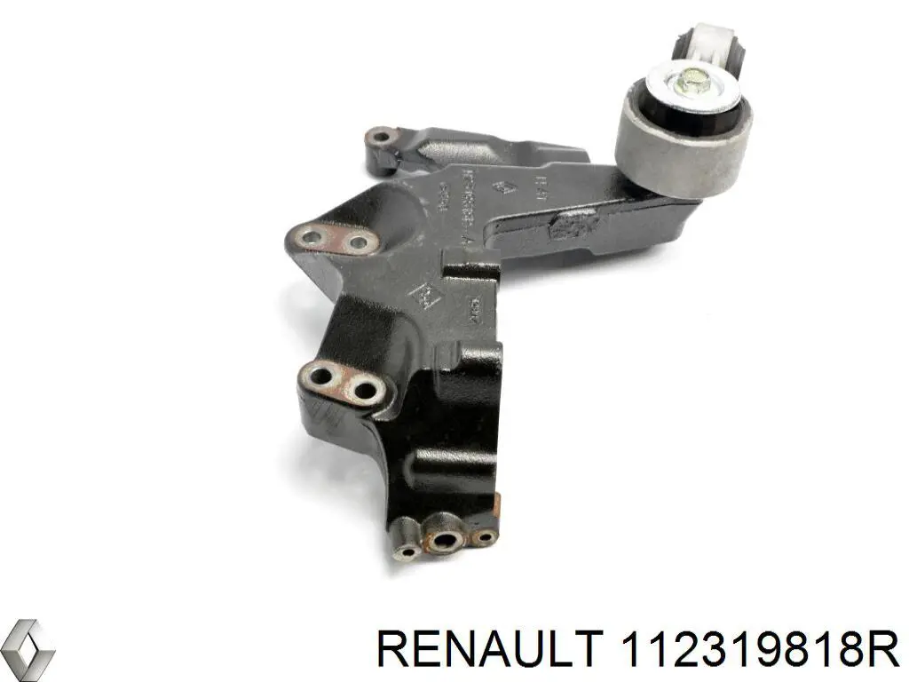  Renault (RVI) 112319818R ціна, від 19.00 USD