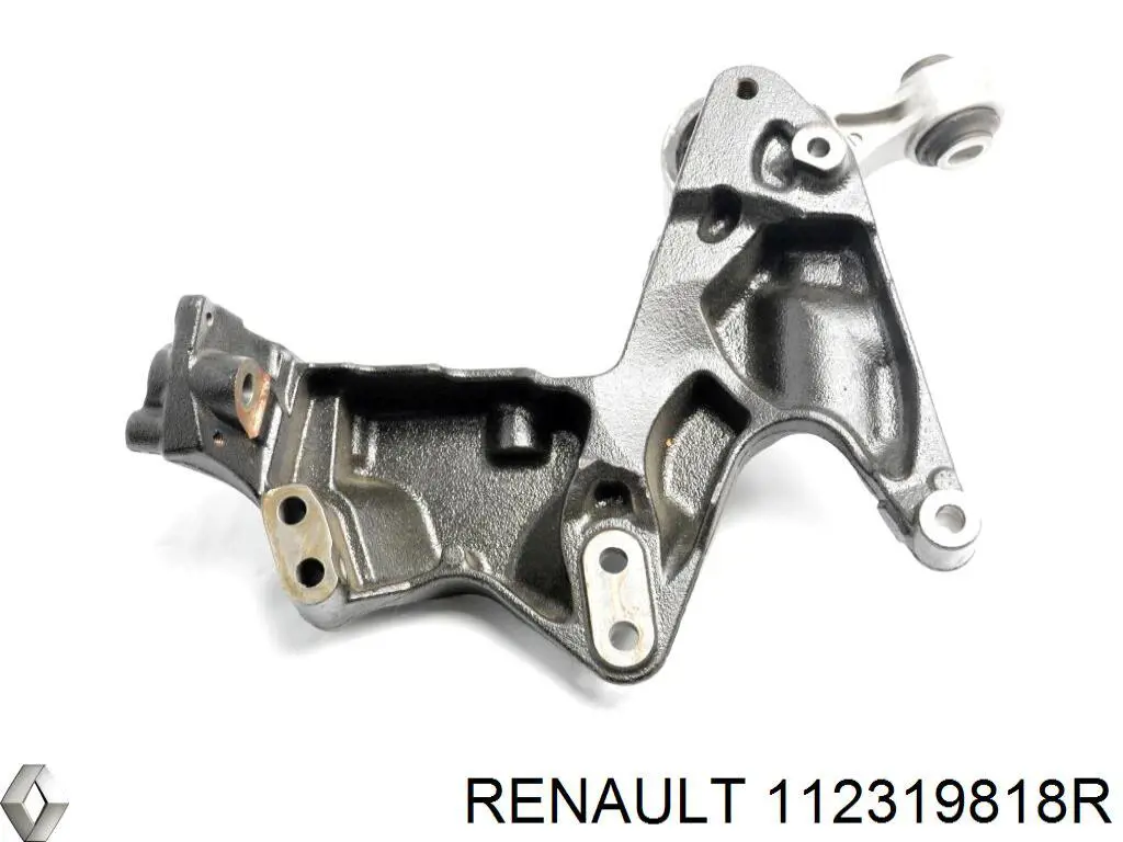 112319818R Renault (RVI) 