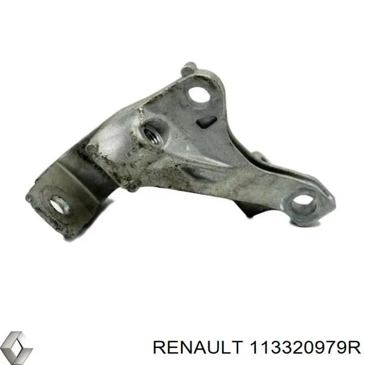 113320979R Renault (RVI) 