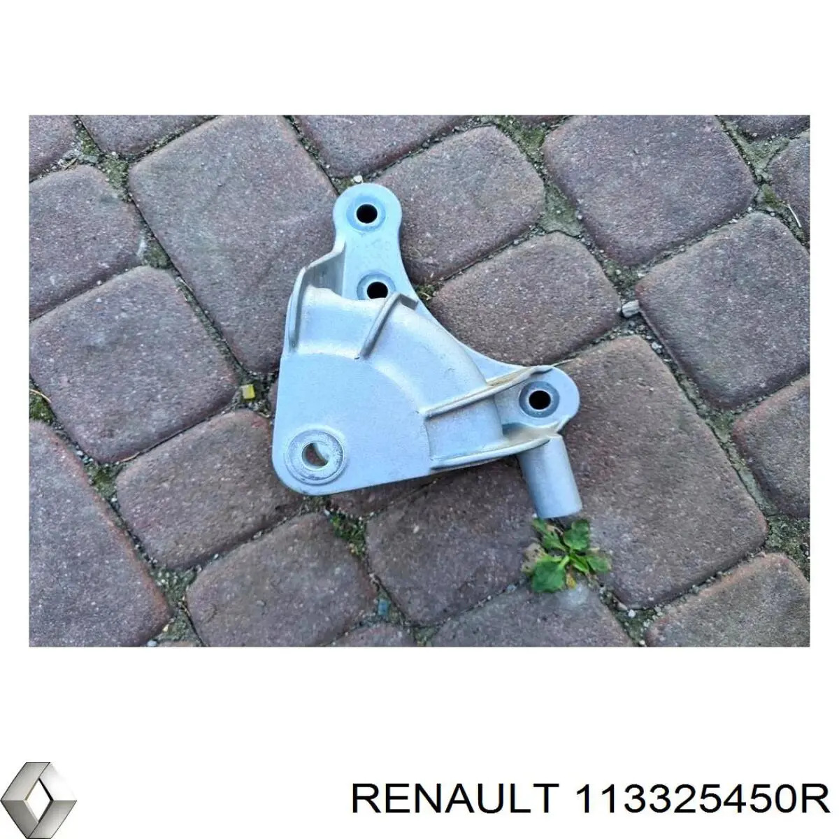 Купити 113325450R Renault (RVI) 