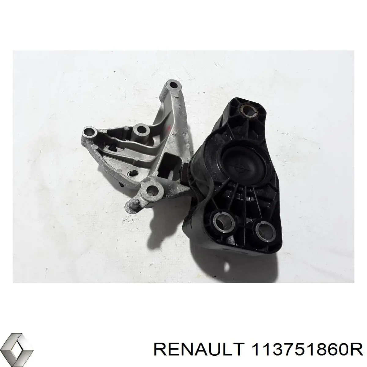 113751860R Renault (RVI) 