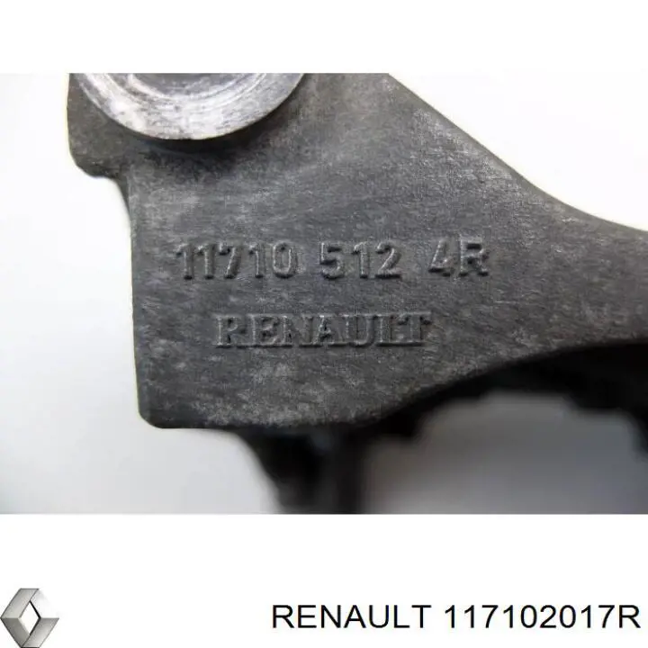  Renault (RVI) 117102017R