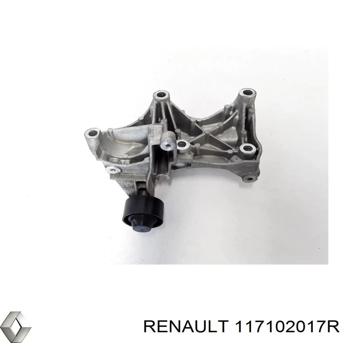 117102017R Renault (RVI) 