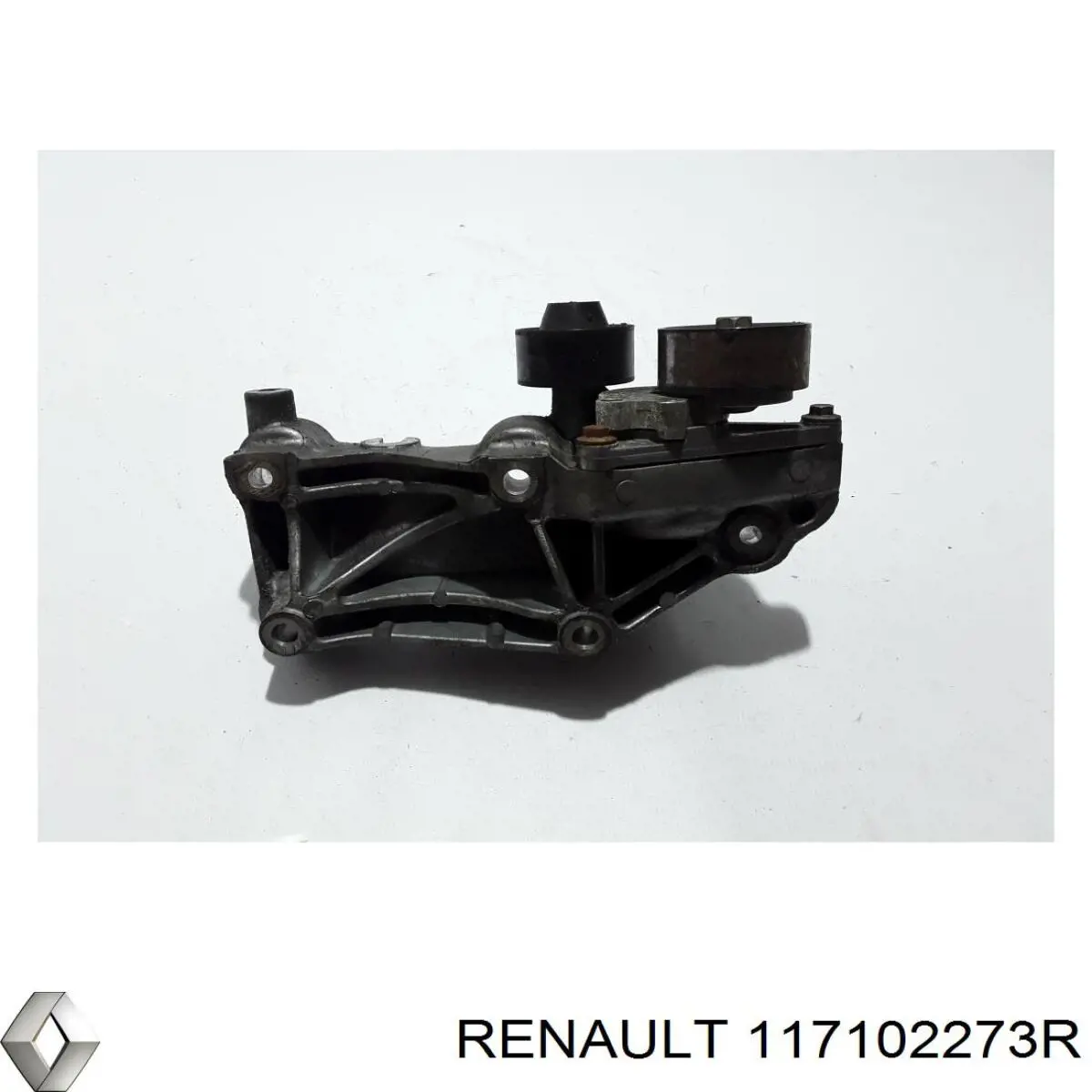  117102273R Renault (RVI)