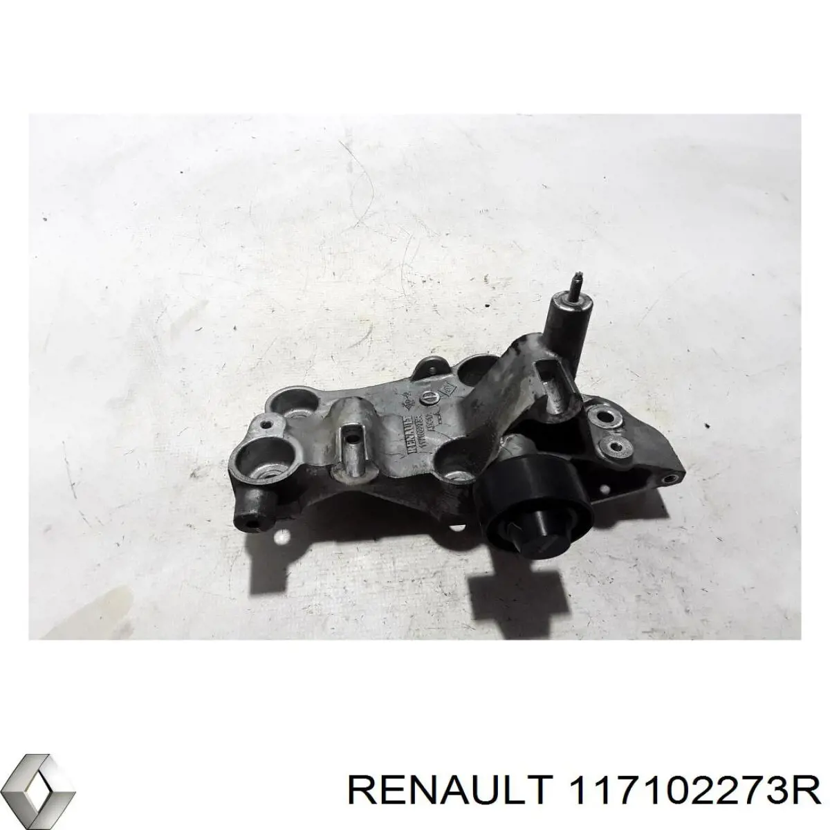 117102273R Renault (RVI) 