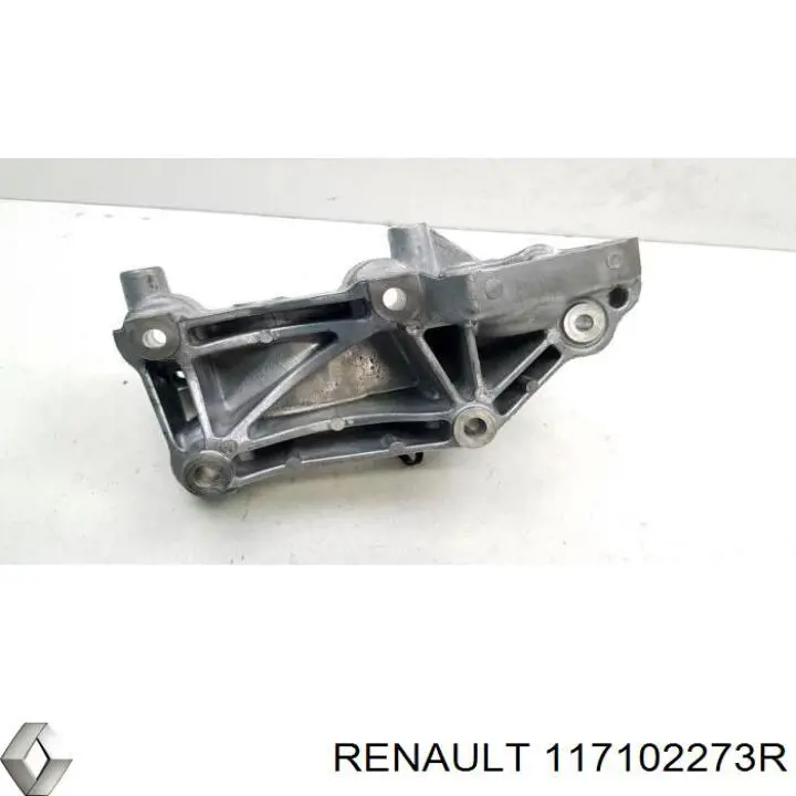 Купити 117102273R Renault (RVI) 