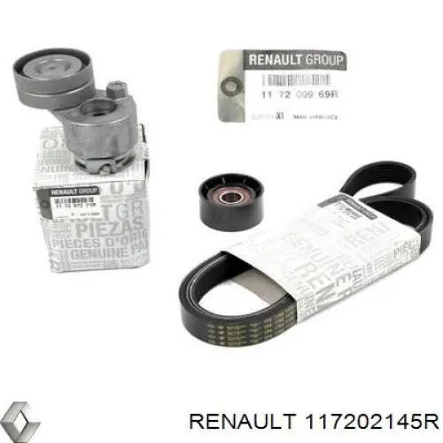 Купити 8660004984 Renault (RVI) Ремінь приводний, агрегатів, комплект