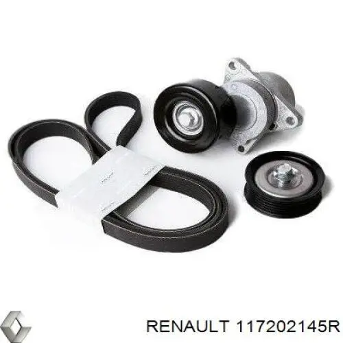 Ремінь приводний, агрегатів, комплект 8660004984 Renault (RVI)