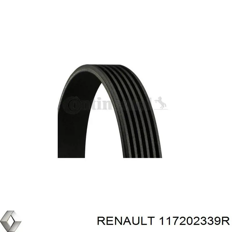 Купити 117202339R Renault (RVI) Ремінь приводний, агрегатів, комплект