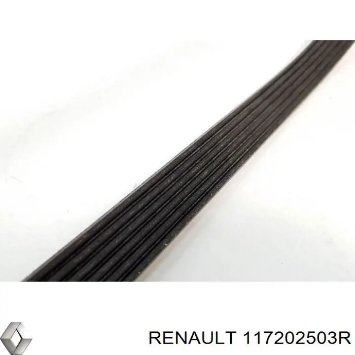 Клиновий ремінь Renault (RVI) 117202503R ціна, від 19.29 USD