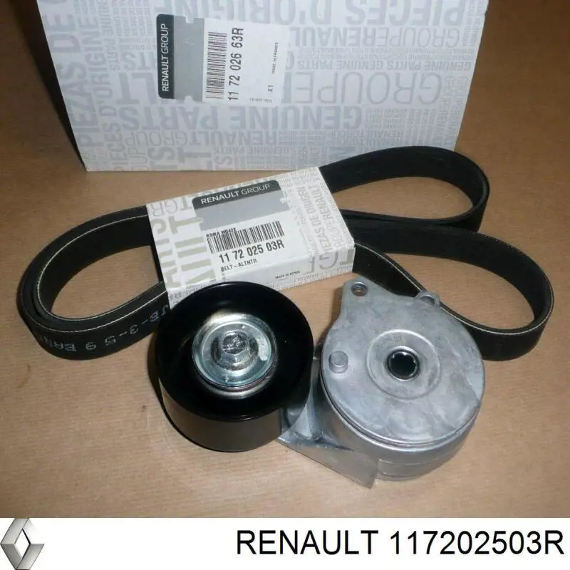 117202503R Renault (RVI) Поліклиновий ремінь