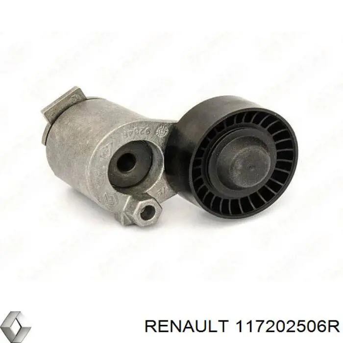 117202506R Renault (RVI) Ремінь приводний, агрегатів, комплект