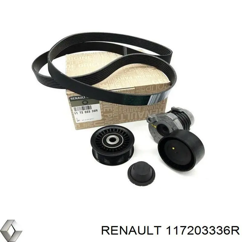 Ремінь приводний, агрегатів, комплект Renault (RVI) 117203336R ціна, від 109.14 USD