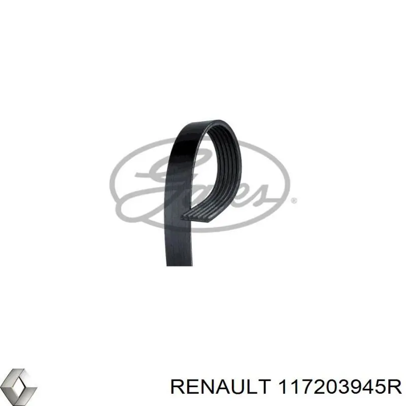 Клиновий ремінь Renault (RVI) 117203945R ціна, від 23.87 USD