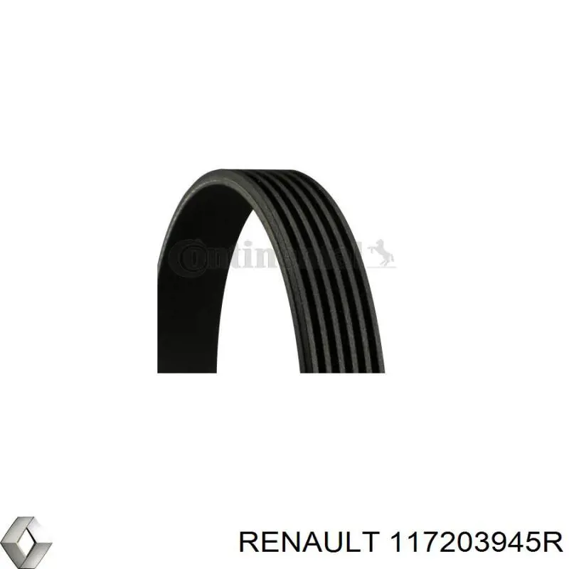  117203945R Renault (RVI)