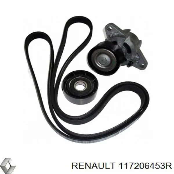 Ремінь приводний, агрегатів, комплект Renault (RVI) 117206453R ціна, від 56.48 USD